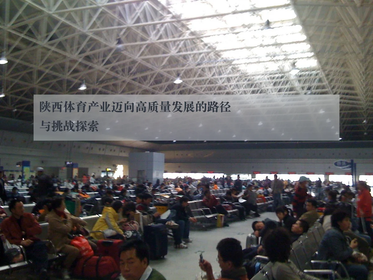 陕西体育产业迈向高质量发展的路径与挑战探索
